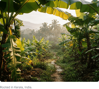 Rooted in Kerala, India